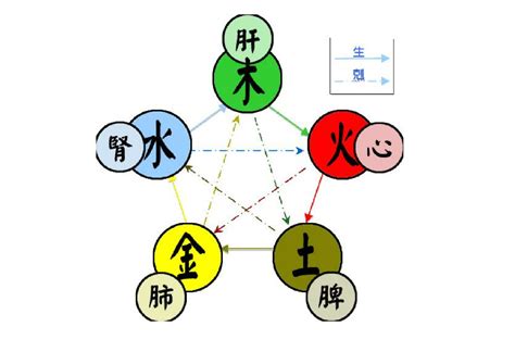 五行分類表|五行(對萬事萬物的取象比類):簡介介紹,涵義解析,初始。